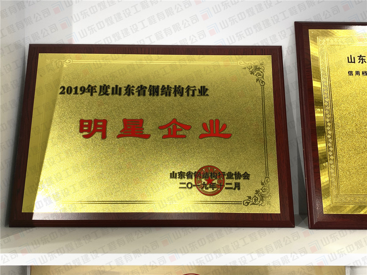2019年度山東省鋼結(jié)構(gòu)行業(yè)明星企業(yè)